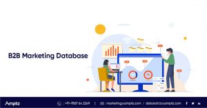 b2b marketing database